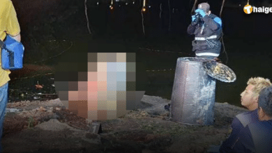 ล่าตัว เกาหลีฆ่าโบกปูน เพื่อนร่วมชาติ