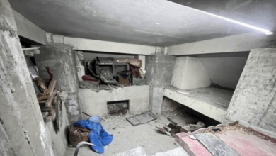 กระดูกใต้เมรุ