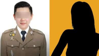 สารวัตรเฟิร์นประวัติ