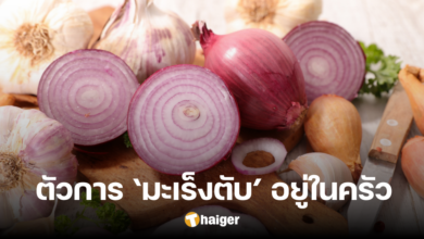 หมอเผย บ่อเกิด 'มะเร็งตับ' อยู่ในครัว ค่าชีวิตไม่ยาก หากเผลอทานเป็นประจำ