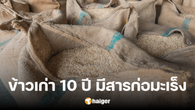 'อ.อ๊อด' หวั่นได้ไม่คุ้มเสีย ข้าว 10 ปี มีสาร 'อะฟลาท็อกซิน' ตัวการมะเร็ง