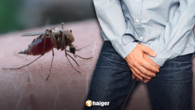 อวัยวะเพศแข็งตัวตลอดเวลา สุดท้ายพบว่าติดเชื้อปรสิตจากยุง