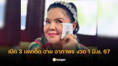 เลขเด็ด ฮาย อาภาพร 1 มิ.ย. 67