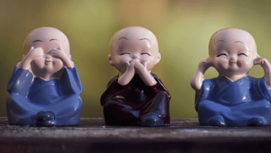 แจก 60 แคปชั่น เกิดแก่เจ็บตาย