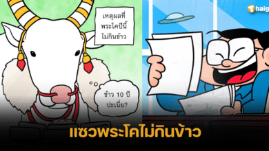 แซวพระโคไม่กินข้าว