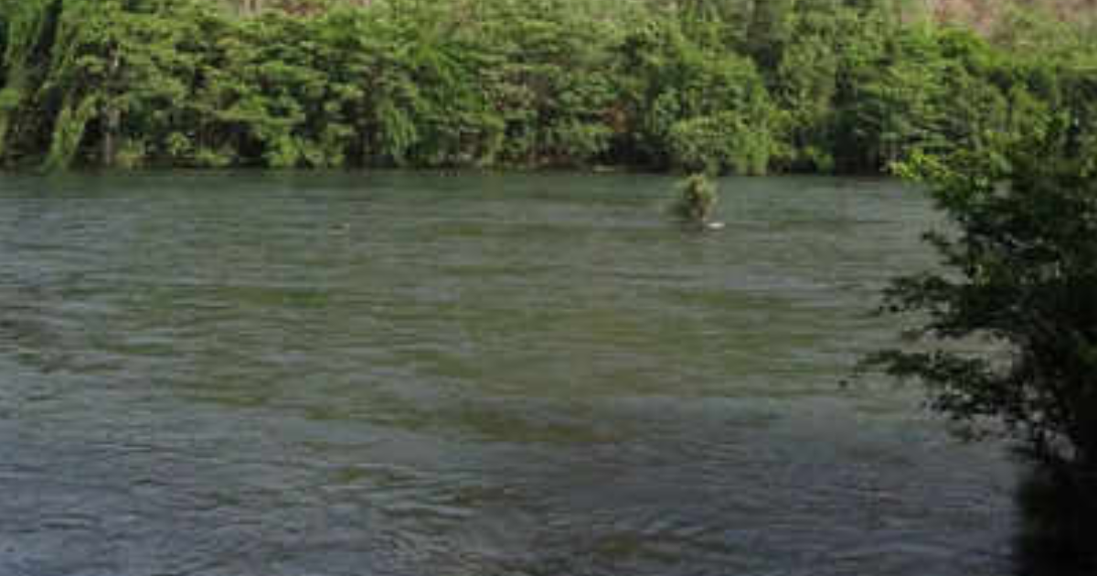 แม่อำหิต โยนลูกให้จระเข้กินที่อินเดีย