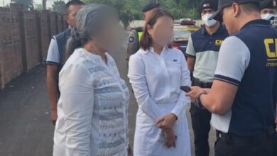 จับหลานแหนมดอนเมือง