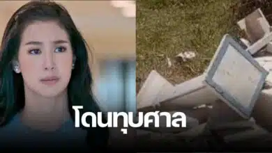 มิ้นต์ ชาลิดา โดนทุบศาล