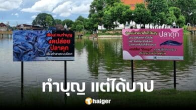 A famous temple has put up a sign saying 'How to release fish to get merit', warning against releasing catfish, making merit will bring sin.