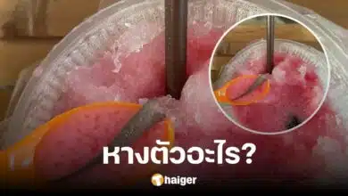 A girl eating shaved ice finds a 'mysterious tail' in a cup. People rush to guess what it is.