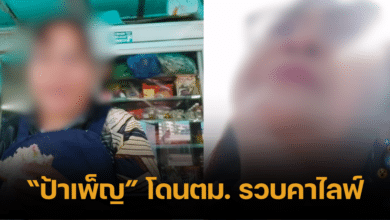 Aunt peng arrested by Immigration (1)