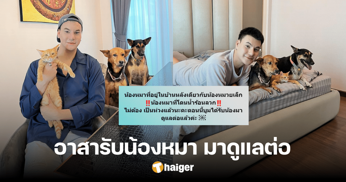 'Boom Moota' announces good news, accepting a dog from the same owner as 'Muay Lek' to take care of him.