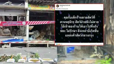 จตุจักรโซนสัตว์เลี้ยงไฟไหม้