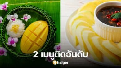 DISHES WITH MANGO