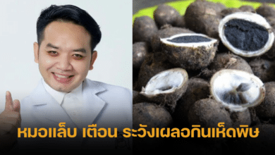 Doctor lab panda warn poison mushroom