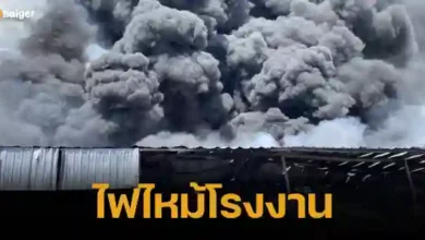 Factory fire in Rayong Province