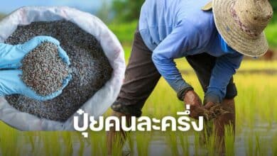 ปุ๋ยคนละครึ่ง
