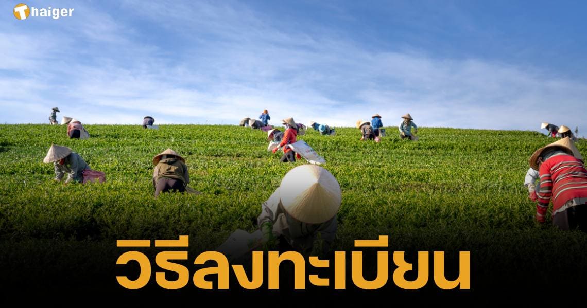 How to register farmers thailand 67 (1)