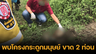 Human skeleton thai 67 (1)