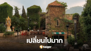 Latest picture of Palio Khao Yai, a popular check-in spot in yesterday, now deserted. There is no original person left.