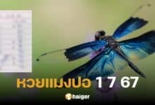 Lucky numbers 'Dragonfly Lottery' will fly in to give away luck for the draw of 1 July 2024. The hottest numbers must be 2 - 9.