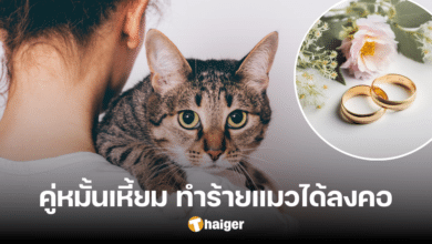 'My fiancé 'lost' my cat so I called off our £30k wedding - I can't forgive him'
