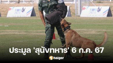 Opening auction for 'military dogs' that do not pass the criteria, 66 dogs, 3 breeds, on July 6th.