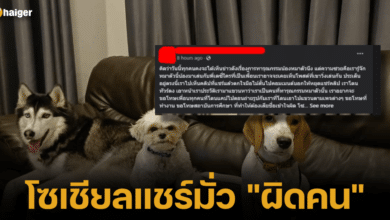 Sharing with the wrong person Woman pours hot water on dog