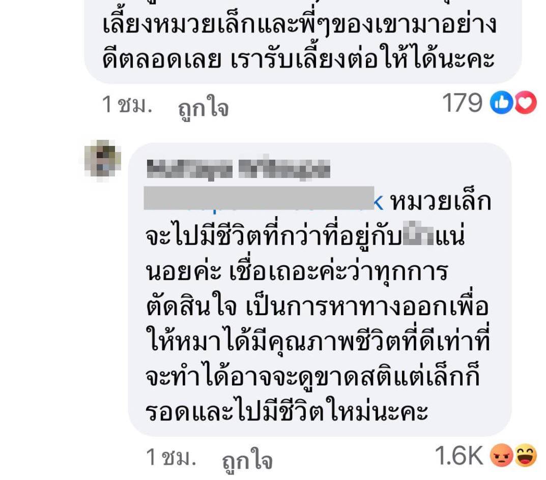 แชตเจ้าของหมา ข่าวหมาไซบีเรียน