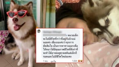 หมวยเล็ก