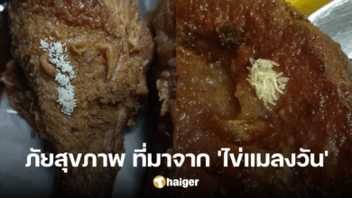 Teacher Jesada warns of the danger of 'fly eggs' mixed in food, causing infection and intestinal inflammation.