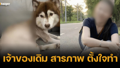 The previous owner of _Muay Lek_ admits that he did this intentionally, claiming that he wanted the dog to have a new home
