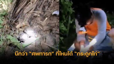 Thought it&#039;s baby body, actually chicken bones