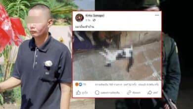 กฤษณพล ปล่อยหมากัดแมวท้อง