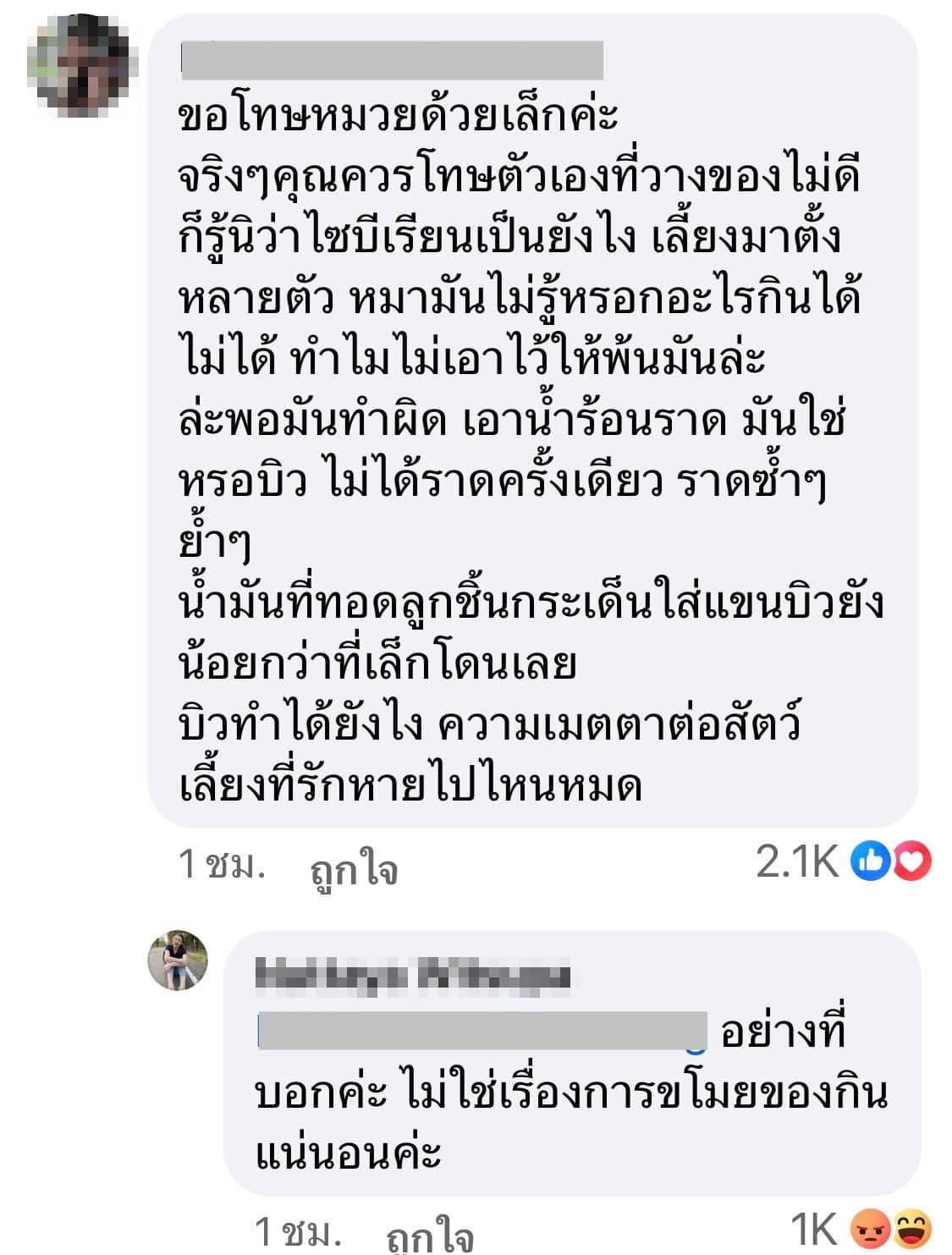 คววามเห็น หมาไซบีเรียนโดนราดน้ำร้อน
