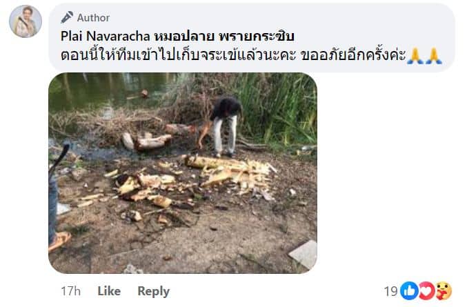 ภาพบ่อหมอปลายปล่อยจระเข้