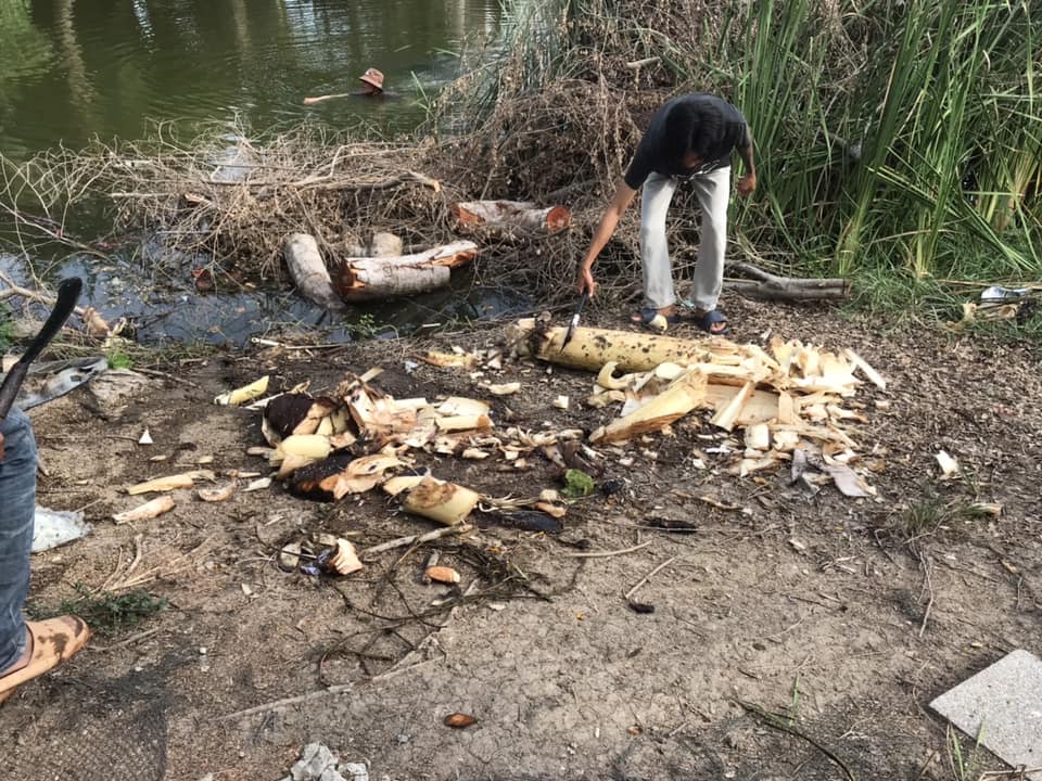 ข่าวหมอปลายปล่อยจระเข้