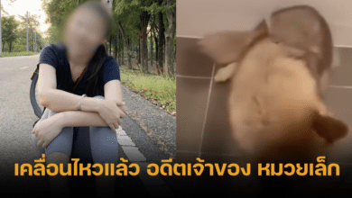 muay lek former owner