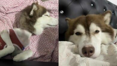 หมวยเล็กวันนี้