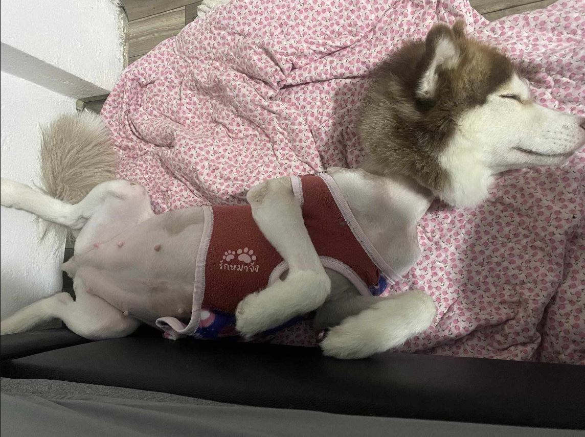 รูปน้องเล็กล่าสุด