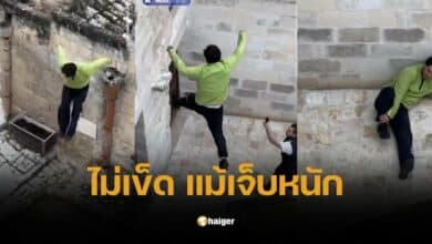 หนุ่ม โดดผาดโผน