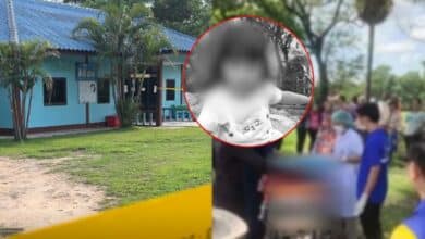 ผลชันสูตรน้องอลิม