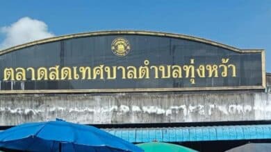 แม่ค้ากล้วยทอดได้เป็นสวจริงไหม