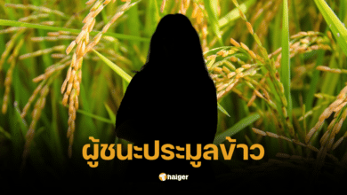 วีเอท อินเตอร์เทรดดิ้ง