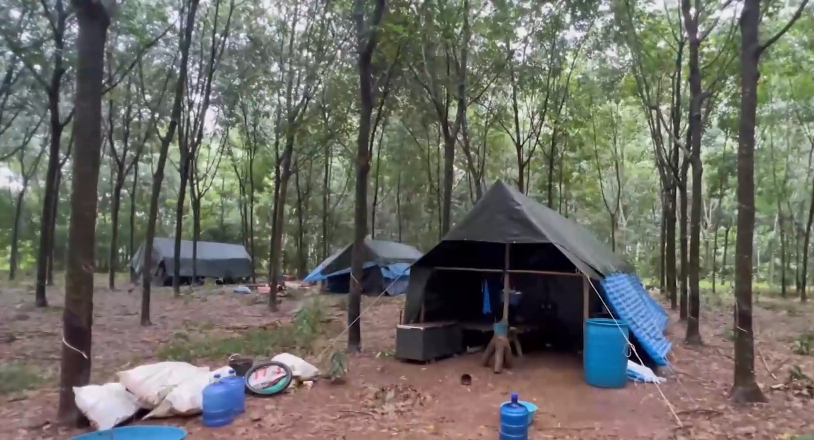 คนงานกัมพูชา ถุกฟ้าผ่าตาย