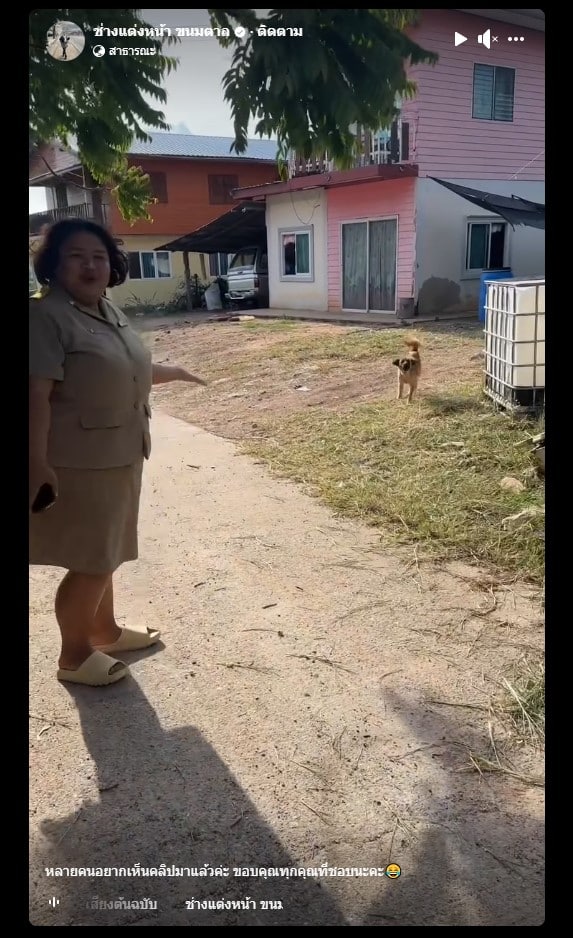 คลิปครูถูกหมาไล่กัด หนองแท