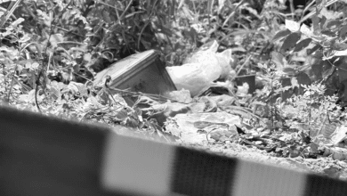 แซน ฟื้นแล้ว