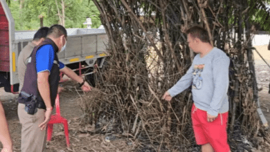 จุดไฟเผาเมียขาพิการ