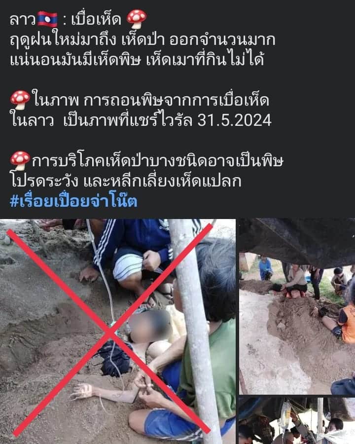 ถอนพิษเห็ด