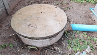 ทิ้งเด็กทารก